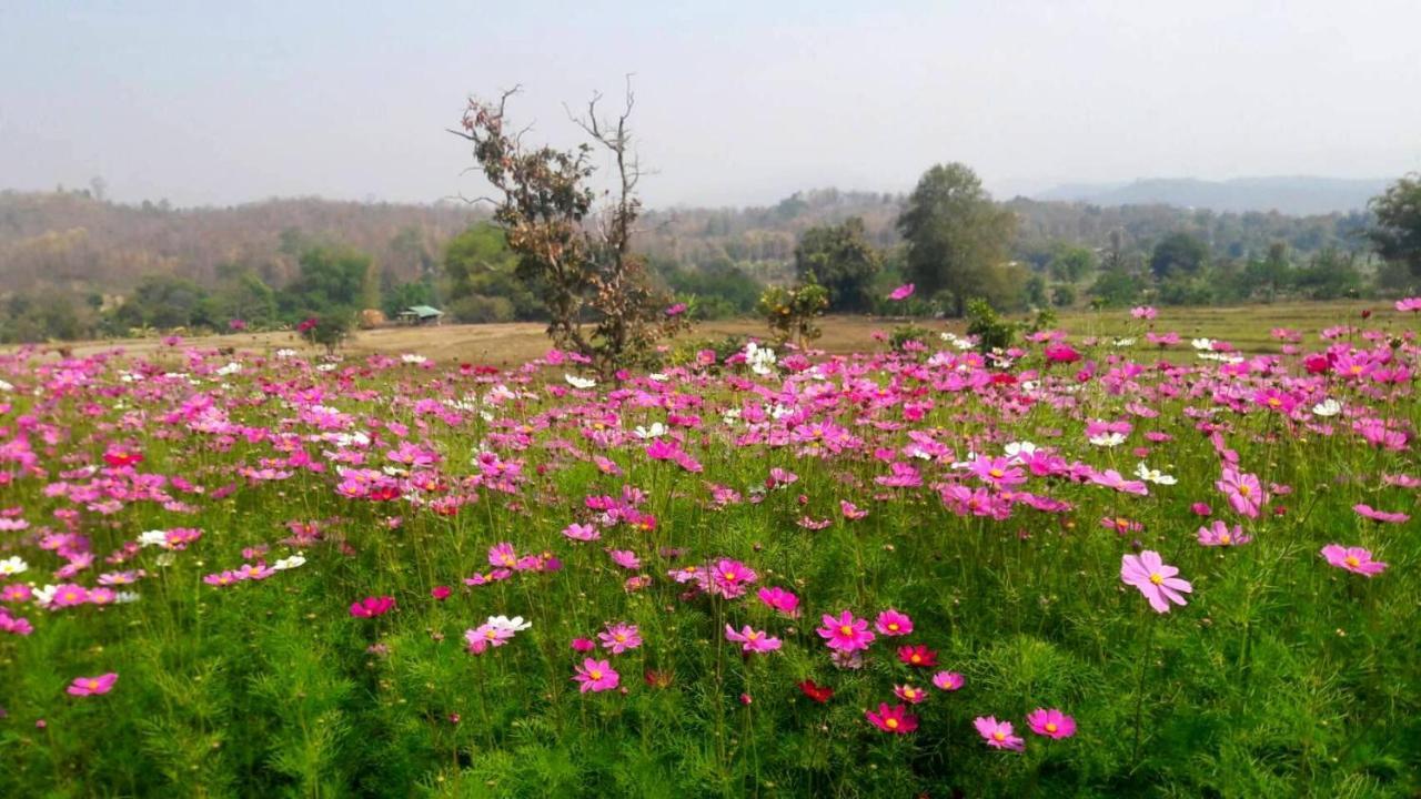 Phu Pai Art Resort Mae Hong Son Eksteriør bilde