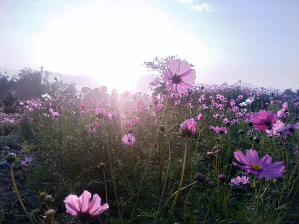 Phu Pai Art Resort Mae Hong Son Eksteriør bilde